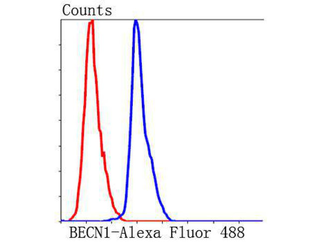 Beclin 1 Antibody in Flow Cytometry (Flow)