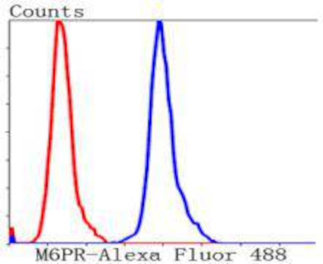 IGF2R Antibody in Flow Cytometry (Flow)