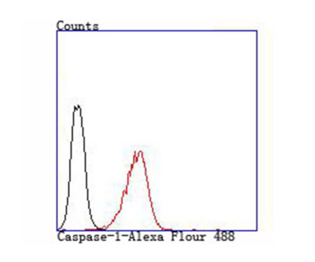 Caspase 1 Antibody in Flow Cytometry (Flow)