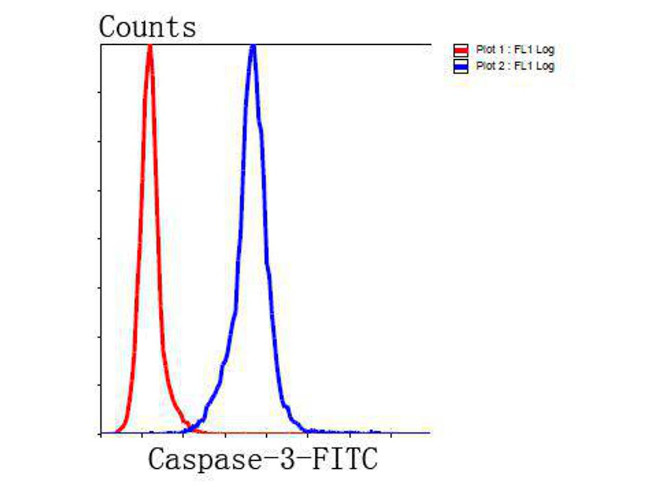 Caspase 3 Antibody in Flow Cytometry (Flow)