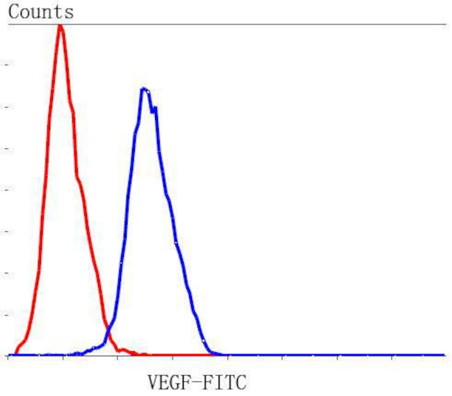 VEGF Antibody in Flow Cytometry (Flow)