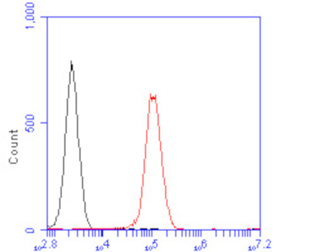 MTHFD2 Antibody in Flow Cytometry (Flow)