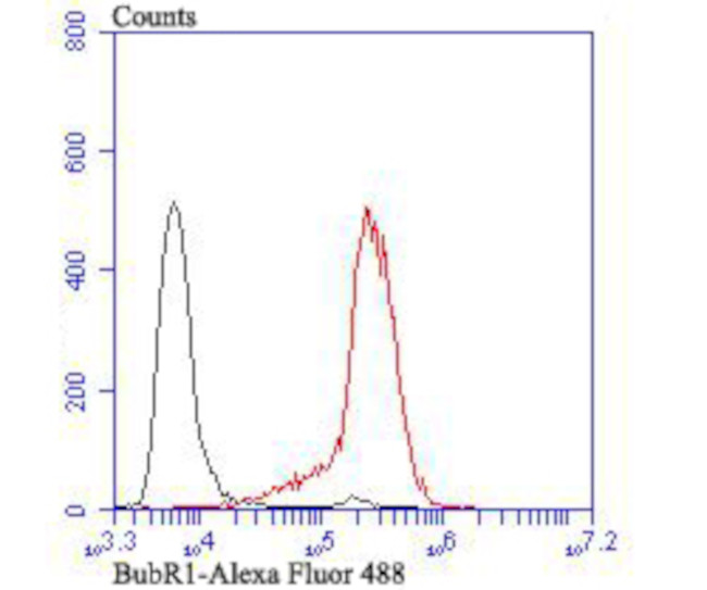 BUBR1 Antibody in Flow Cytometry (Flow)