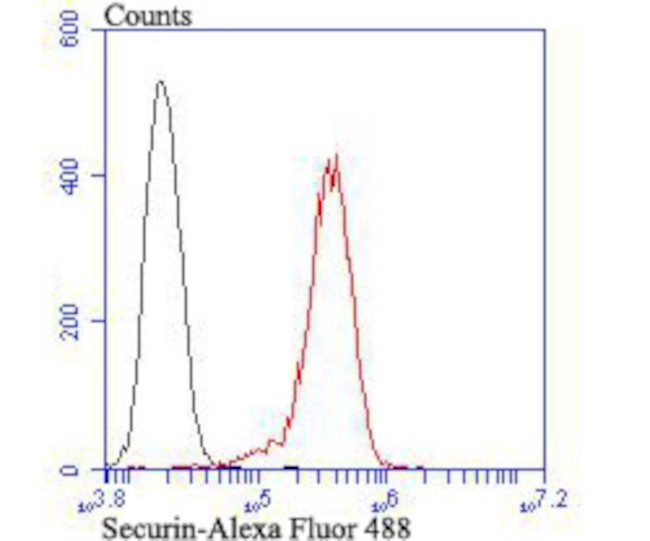 Securin Antibody in Flow Cytometry (Flow)