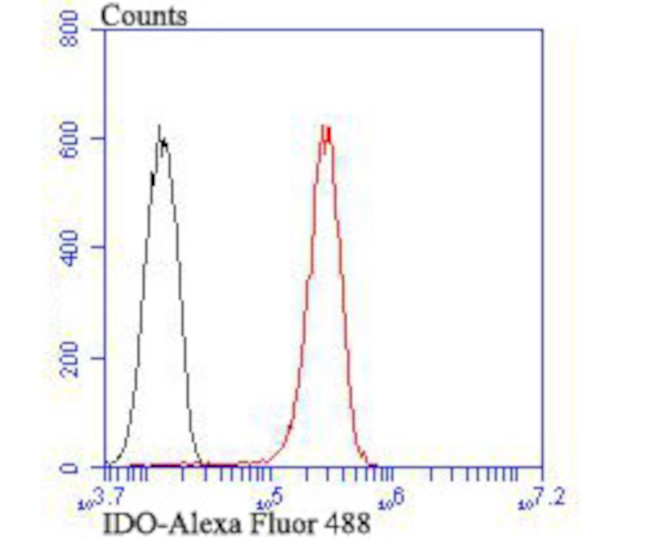 IDO Antibody in Flow Cytometry (Flow)