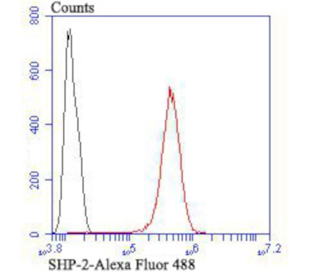 SHP2 Antibody in Flow Cytometry (Flow)