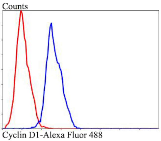 Cyclin D1 Antibody in Flow Cytometry (Flow)