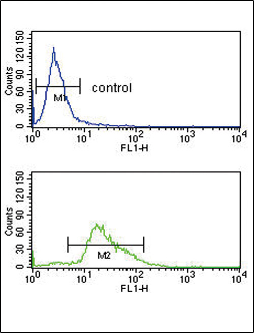 Plasminogen Antibody in Flow Cytometry (Flow)