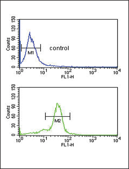 MSRA Antibody in Flow Cytometry (Flow)