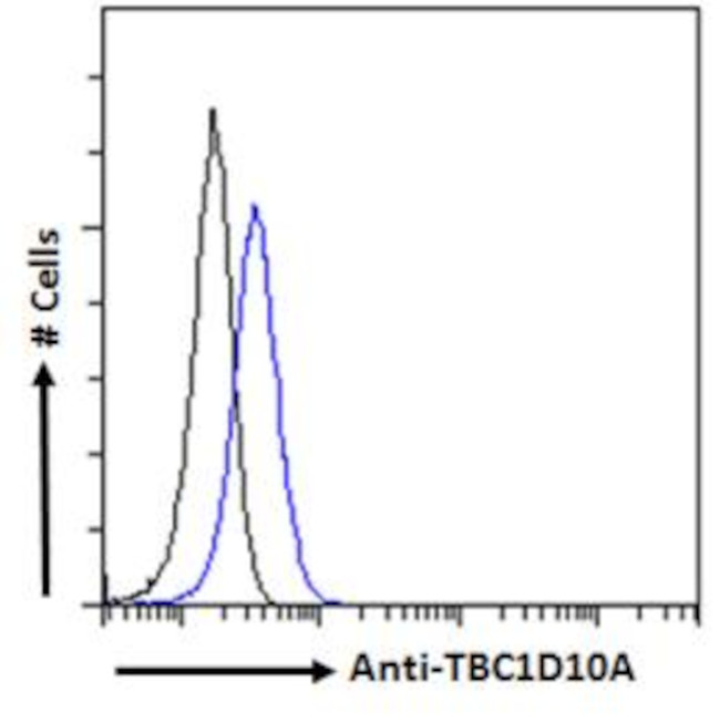 TBC1D10A Antibody in Flow Cytometry (Flow)