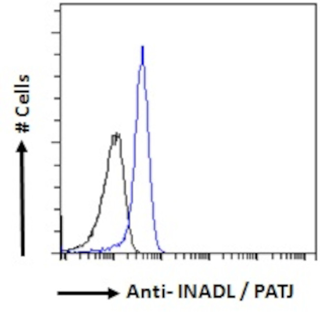 PATJ Antibody in Flow Cytometry (Flow)