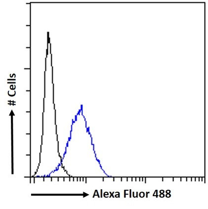 NUP62 Antibody in Flow Cytometry (Flow)