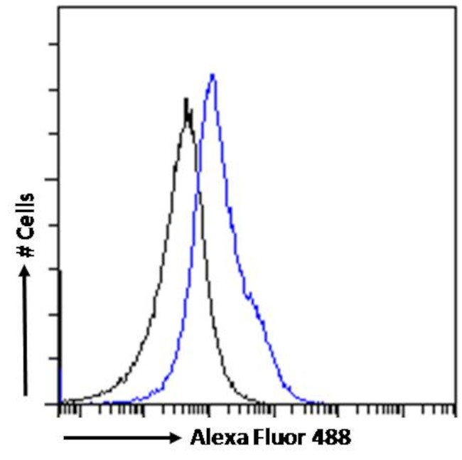 OGFR Antibody in Flow Cytometry (Flow)