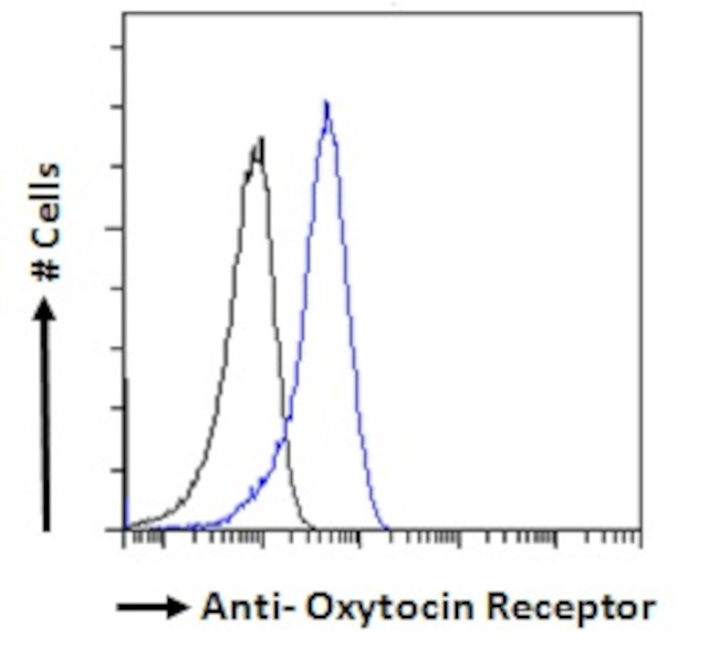Oxytocin Receptor Antibody in Flow Cytometry (Flow)