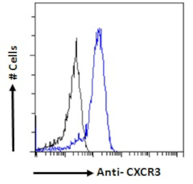 CXCR3 Antibody in Flow Cytometry (Flow)