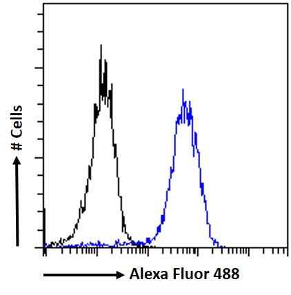 ZNF217 Antibody in Flow Cytometry (Flow)