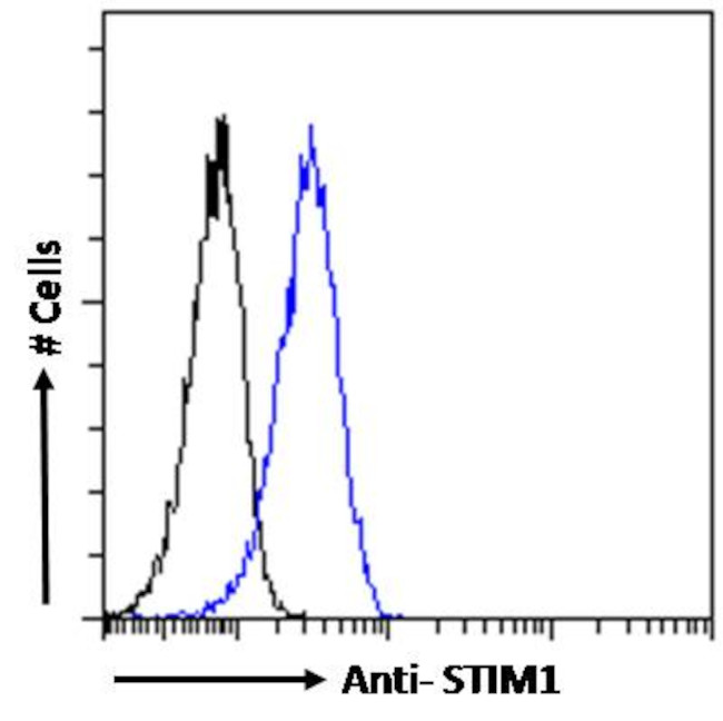 STIM1 Antibody in Flow Cytometry (Flow)