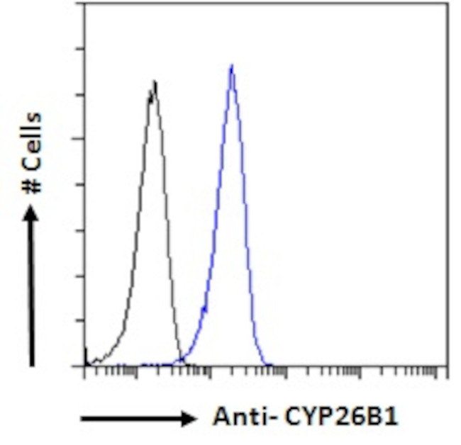 CYP26B1 Antibody in Flow Cytometry (Flow)