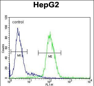 Ceruloplasmin Antibody in Flow Cytometry (Flow)