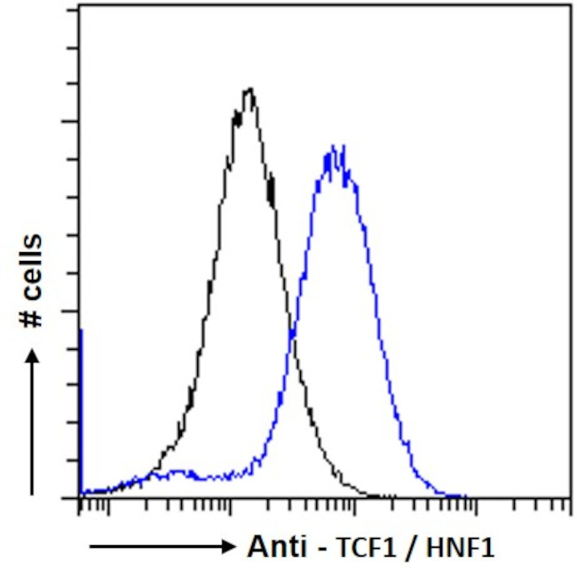 HNF1A Antibody in Flow Cytometry (Flow)