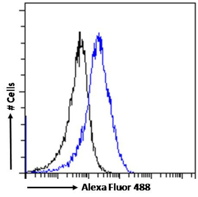 CHD5 Antibody in Flow Cytometry (Flow)