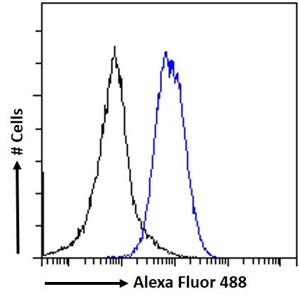 EPB41L5 Antibody in Flow Cytometry (Flow)