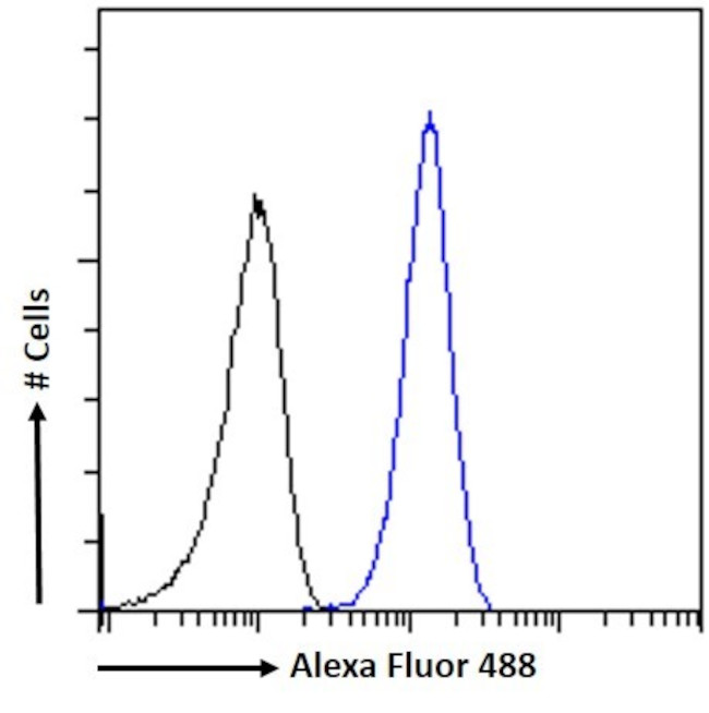 HRNR Antibody in Flow Cytometry (Flow)