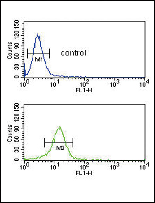 COL5A2 Antibody in Flow Cytometry (Flow)