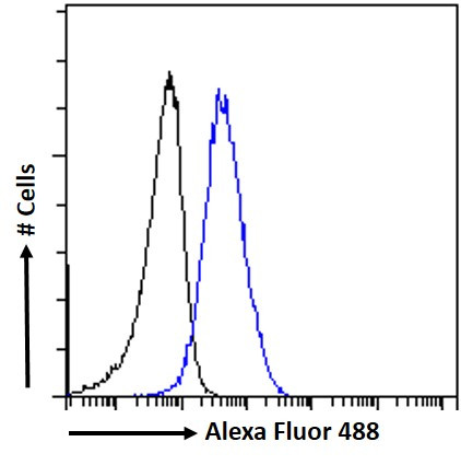 AHR Antibody in Flow Cytometry (Flow)