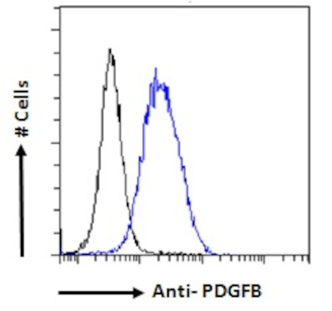 PDGF-B Antibody in Flow Cytometry (Flow)