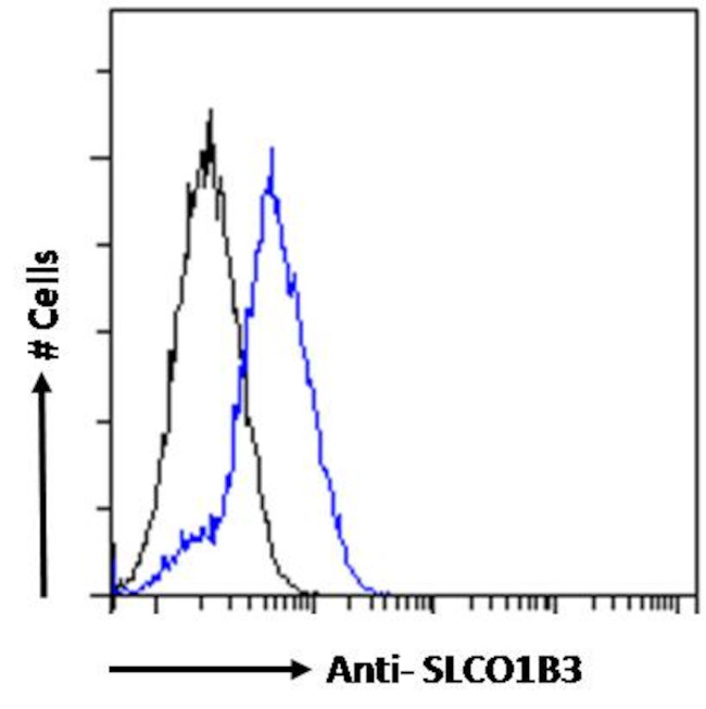 OATP8 Antibody in Flow Cytometry (Flow)