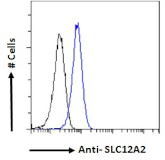 NKCC1 Antibody in Flow Cytometry (Flow)