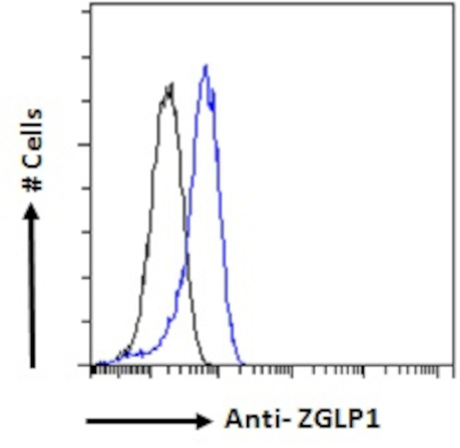 ZGLP1 Antibody in Flow Cytometry (Flow)