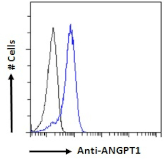Angiopoietin 1 Antibody in Flow Cytometry (Flow)