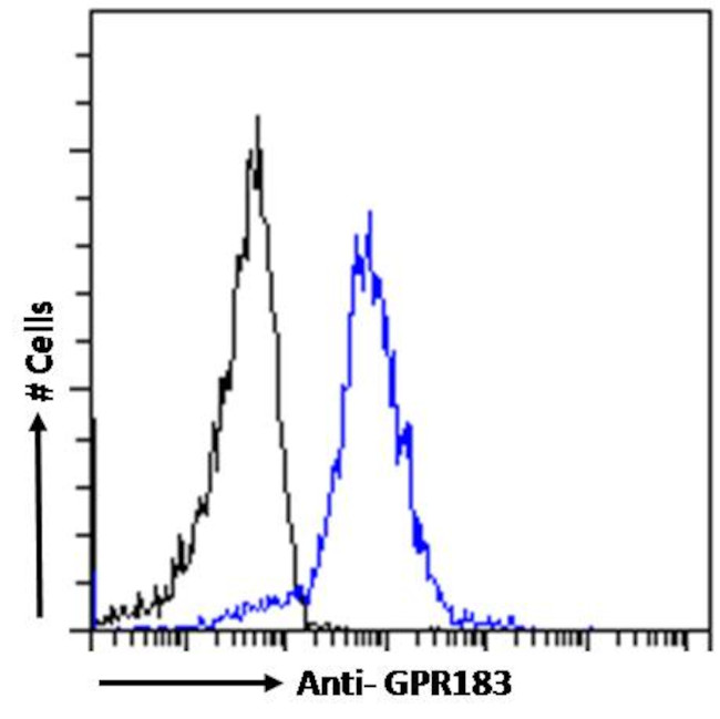 GPR183 Antibody in Flow Cytometry (Flow)