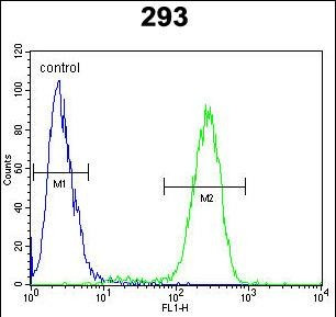 TMPRSS2 Antibody in Flow Cytometry (Flow)
