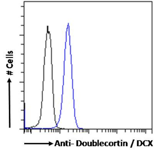 Doublecortin Antibody in Flow Cytometry (Flow)