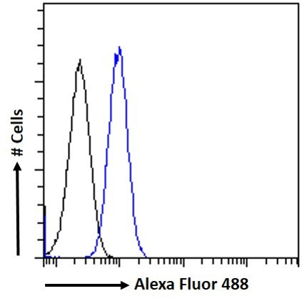 MKRN1 Antibody in Flow Cytometry (Flow)