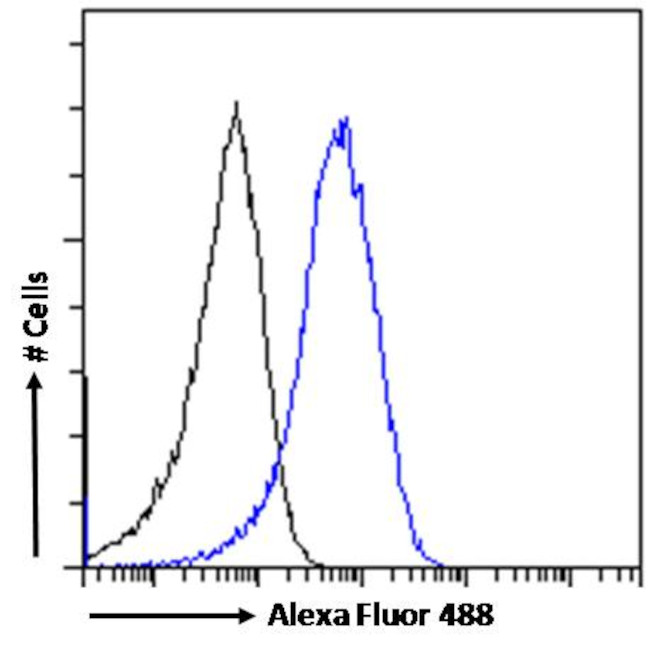 TBK1 Antibody in Flow Cytometry (Flow)