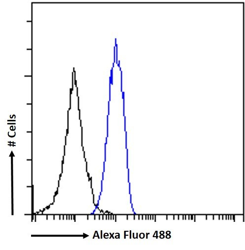 STAT5 alpha Antibody in Flow Cytometry (Flow)