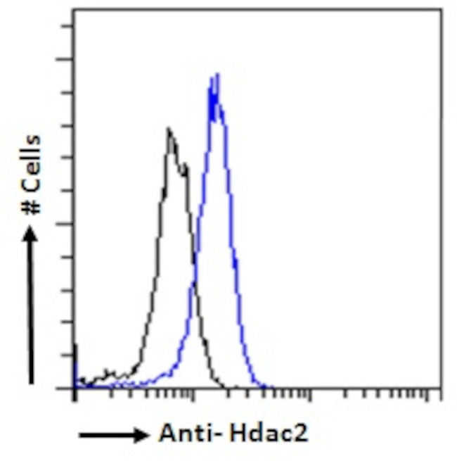 HDAC2 Antibody in Flow Cytometry (Flow)