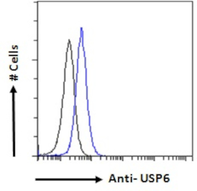 USP6 Antibody in Flow Cytometry (Flow)