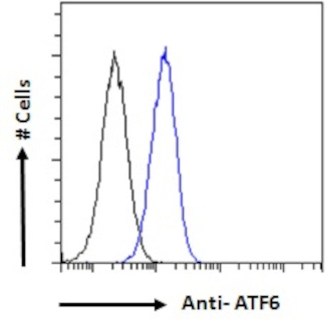 ATF6 Antibody in Flow Cytometry (Flow)