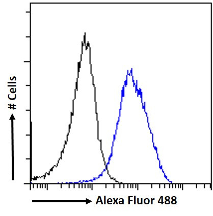 Kallikrein 6 Antibody in Flow Cytometry (Flow)