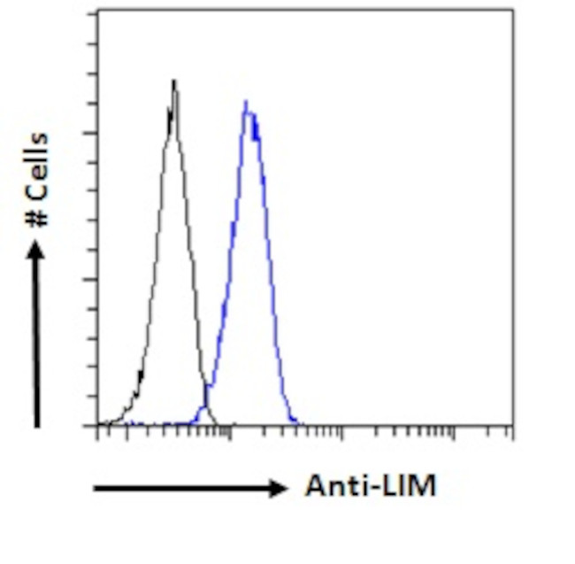 LMO3 Antibody in Flow Cytometry (Flow)