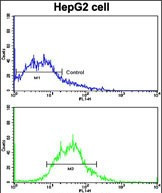 ADAM9 Antibody in Flow Cytometry (Flow)