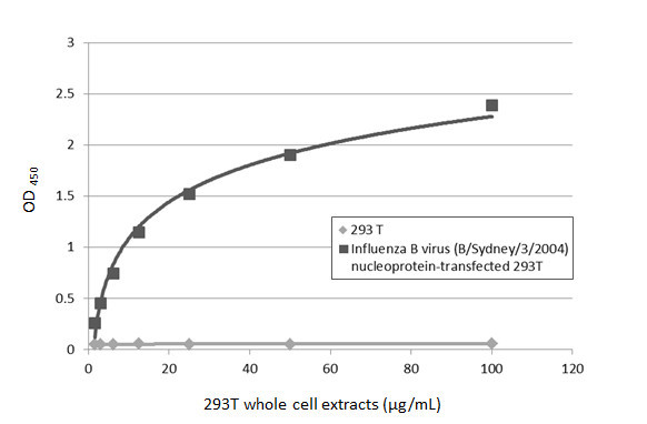 Influenza B NP (B/Taiwan/753/2005) Antibody in ELISA (ELISA)