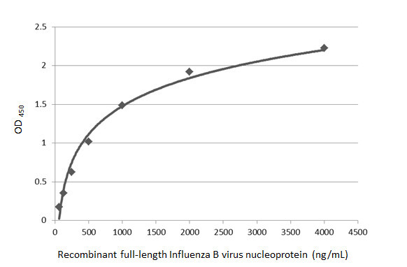 Influenza B NP (B/Taiwan/753/2005) Antibody in ELISA (ELISA)