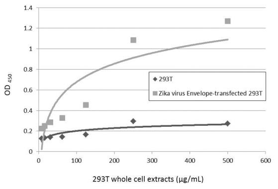 Zika Virus Envelope (strain H/PF/2013) Antibody in ELISA (ELISA)