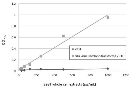 Zika Virus Envelope (strain H/PF/2013) Antibody in ELISA (ELISA)